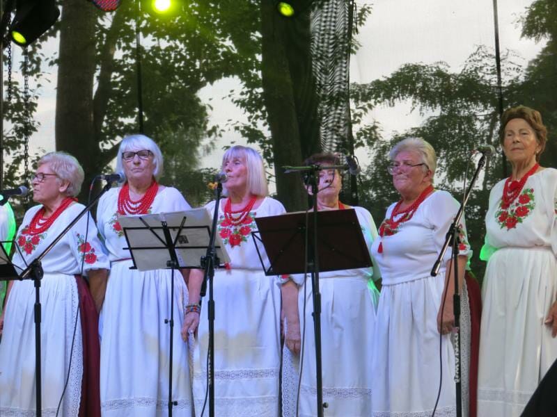 Zespół Jarzębina podczas występu